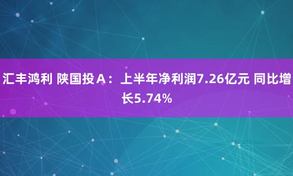 汇丰鸿利 陕国投Ａ：上半年净利润7.26亿元 同比增长5.74%